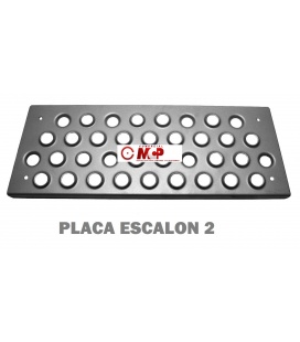 PLACA 2ª APOYAPIES ACTROS