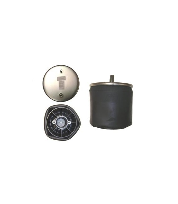 NEUMATICA FIRESTONE