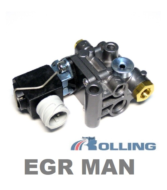 VALVULA EGR MANTGA-TGX-TGS