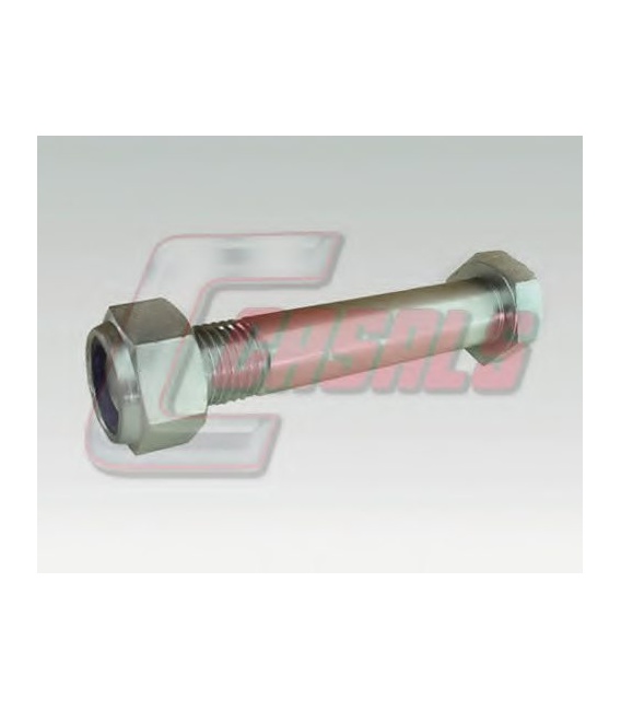 TORNILLO BPW- M.30X170-CON TUERCA