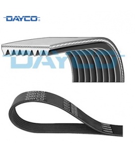 CORREA TRAPECIAL POLI V SCANIA - DAYCO