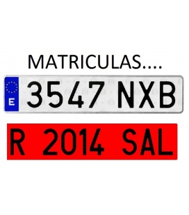 MATRICULAS ACRILICAS HOMOLOGAS