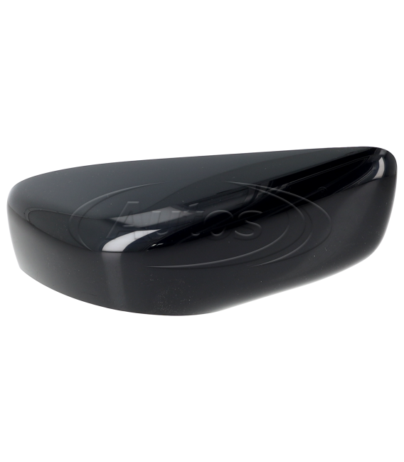 TAPA BRAZO RETROVISOR DAF