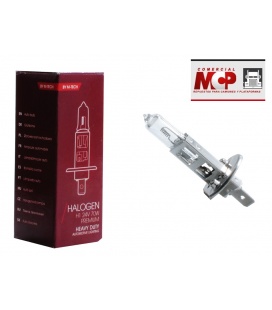 Lamparas bombillas camion 24v H1